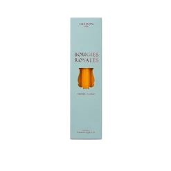 Box di 6 Candele Corn Royale - Trudon