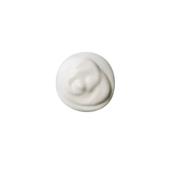 Conditioning Hair Milk - Waphyto