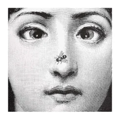 Cuscino Ape - Fornasetti