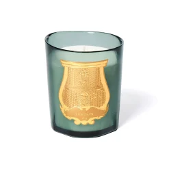 Figuerie Bougie - Trudon
