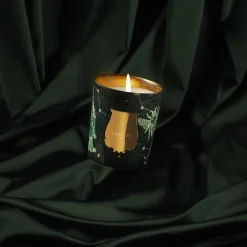 Fir Bougie Natale 2025 - Trudon