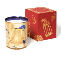 Fir Christmas 2020 - Trudon