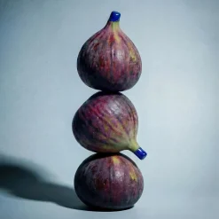 Fycus Sycomorus | Balsamo Rivitalizzante per Capelli - Zenology
