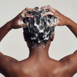 Fycus Sycomorus | Shampoo Nutriente - Zenology
