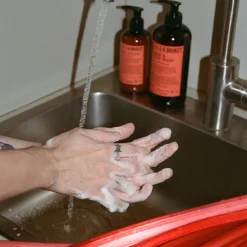 339 Hand & Body Wash Rhubarb | Geranium - L:A Bruket