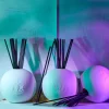 Rose Noire Diffuser Oil Refill - L'Objet