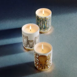 Sardine Candela Fragranza Immaginazione - Fornasetti
