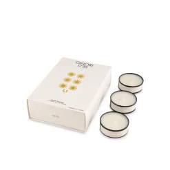 Set Tealight Candles White Jealousy Refill - Ginori