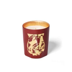 Terre à Terre Bougie - Trudon