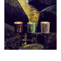 Terre à Terre Bougie - Trudon